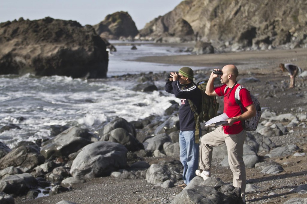 Beach Watch at Pinnacle Gulch