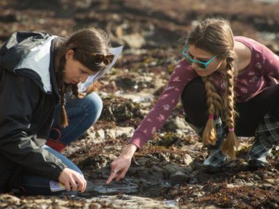 LiMPETS students doing field research
