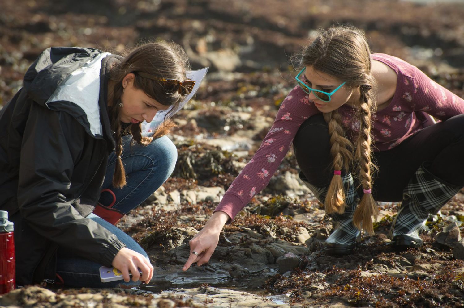 LiMPETS students doing field research