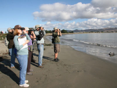 Beach Watch group looking at the ocean through binoculars