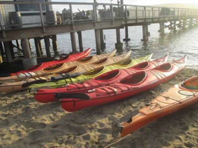 Kayaks lined up on the beach