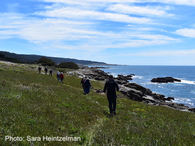 Whale wildflower walk group in action. Photo: Sara Heintzelman