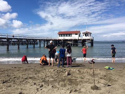 Group exploring sand crabs on the beach