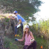 Two GFA staff members conducting sediment sampling at on the shore of Bolinas Lagoon surrounded by tall grass.