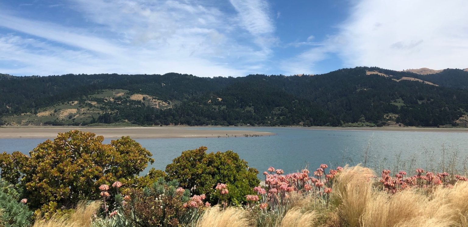 Bolinas Lagoon Restoration Greater Farallones Association