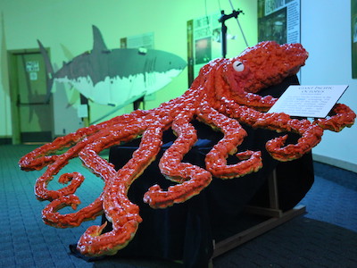 Extreme Sea Life soiree model giant squid