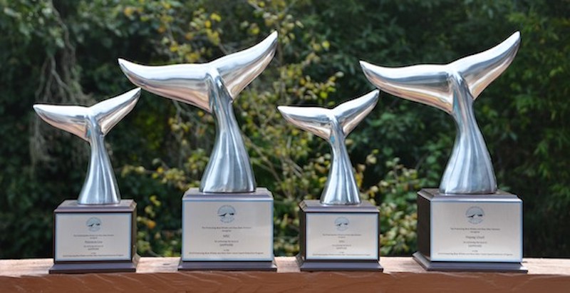 Photo of the Sapphire level awards from the 2019 Protecting Blue Whales and Blue Skies Program