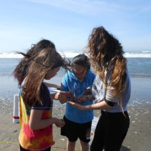LiMPETS in Action. A group pf students observe sand crabs during a sandy beach monitoring field trip. Credit LiMPETS