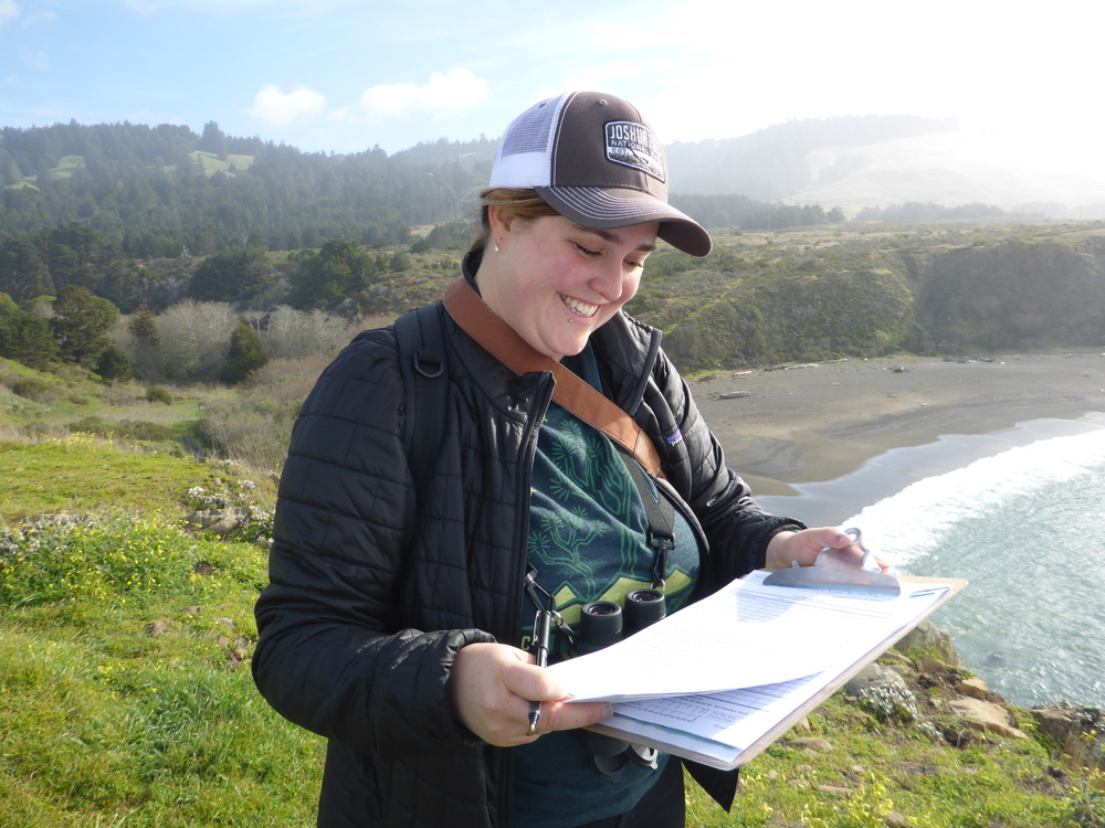 Beach Watch volunteer writes down observations on clipboard. In the background are lush green coastal hills. The beach break is visible.
