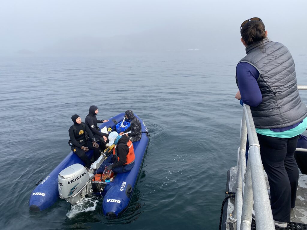 Kelp team conducting research activities.