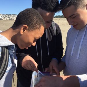 LiMPETS in Action. Three students observe sand crabs while on a sandy beach monitoring field trip. Credit LiMPETS