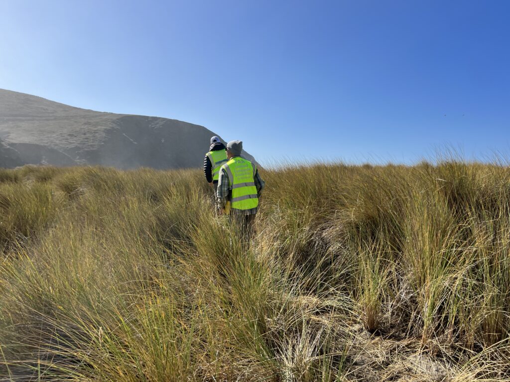 Ocean Unmanned team hike to survey site through tall grasses.