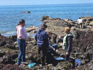 A group of four LiMPETS students stand around a quadrat in the rocky intertidal in the process of helping to collect scientific data One student is talking to the three others. A transect line and species identification sheet are nearby and the ocean can be seen just off the rocky shore. Credit: PAUHS Teacher