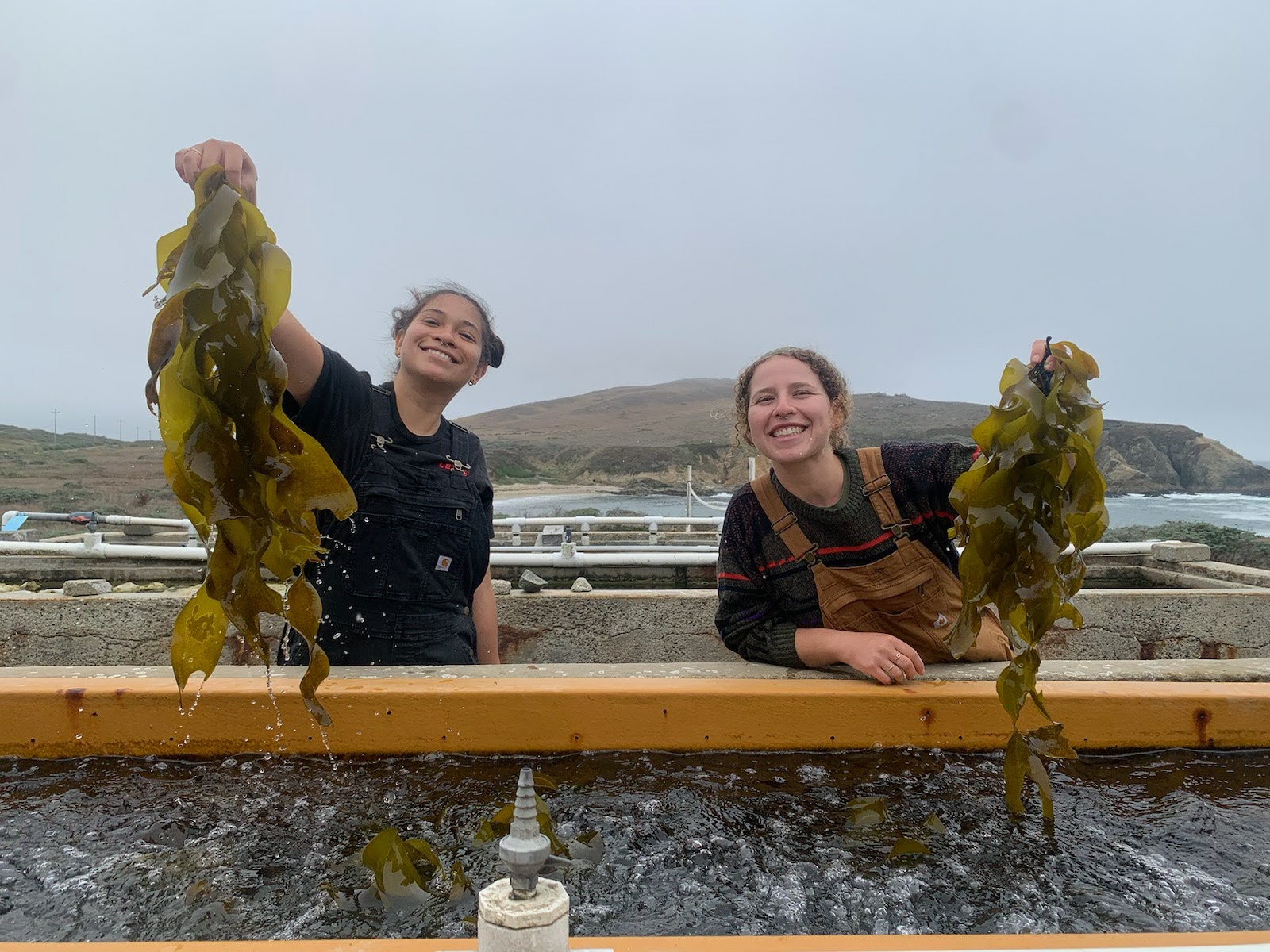 Julieta Gomez (left) and Rachael Karm (right) show off strands of kelp at the Bodega Marine Lab.