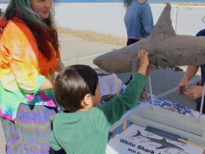 A child standing outside reaches up to touch a clay model of a shark displayed on a table.