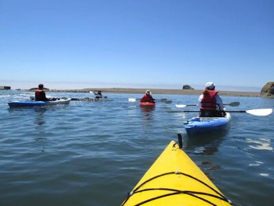 Greater Farallones Sanctuary Exploration in action. Several people in kayaks paddle on Tomales Bay