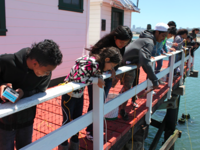 A group of children leaning over the Greater Farallones pier peering into the water below.
