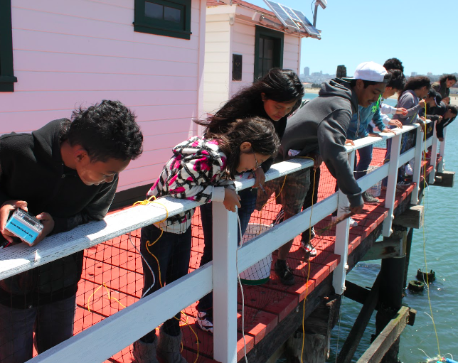 A group of children leaning over the Greater Farallones pier peering into the water below.