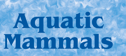 "Aquatic Mammals" text in blue with wavey light blue background.