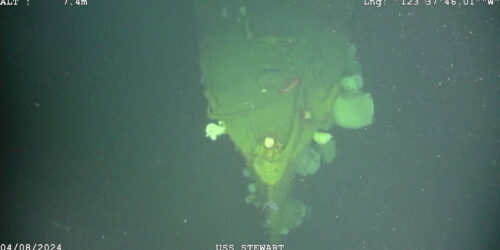 USS Stewart seen submerged in water. The hue of the water is green and there is marine life inhabiting the ship wreck.