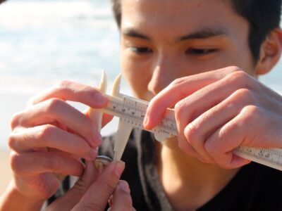 limpets photo annual report 2018 -5