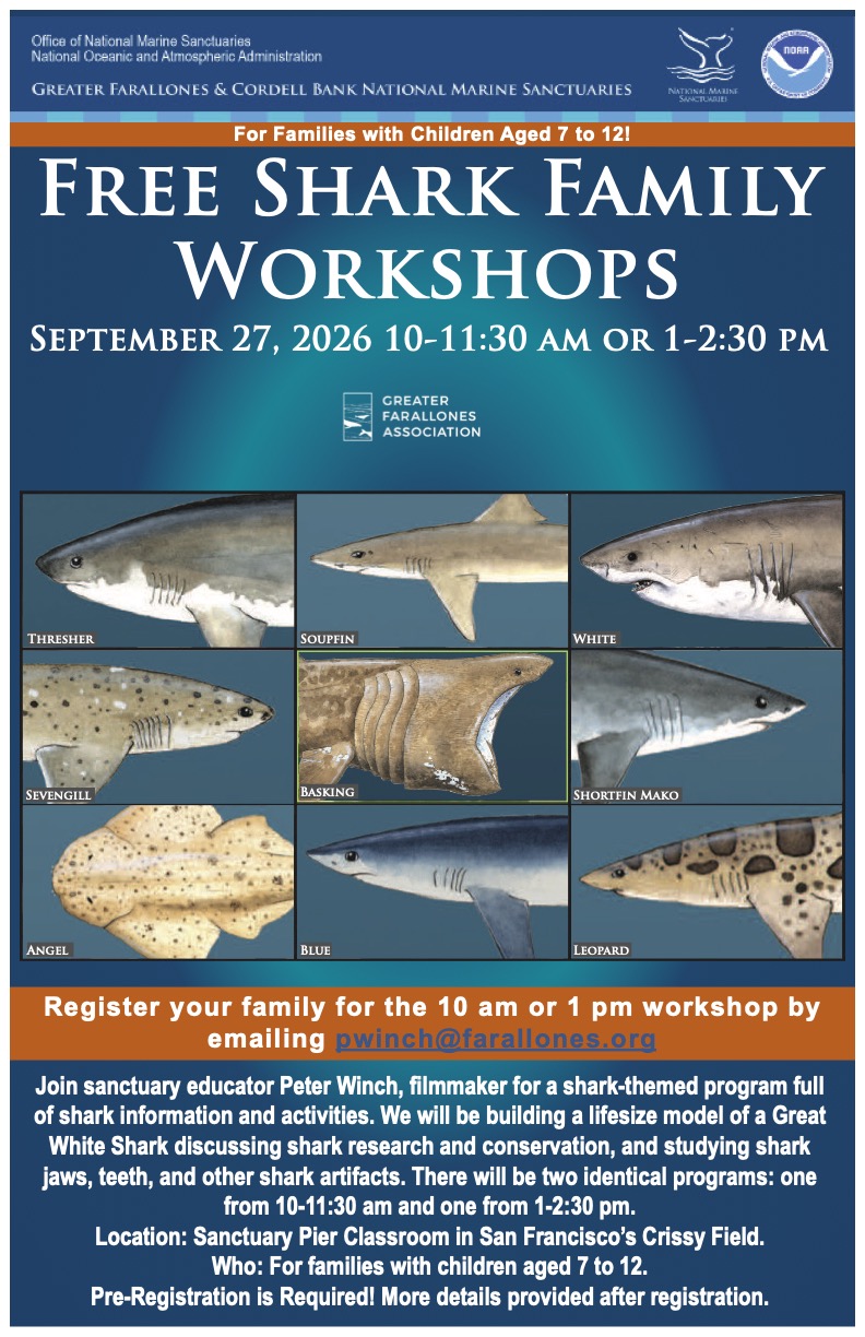 Flyer for workshop