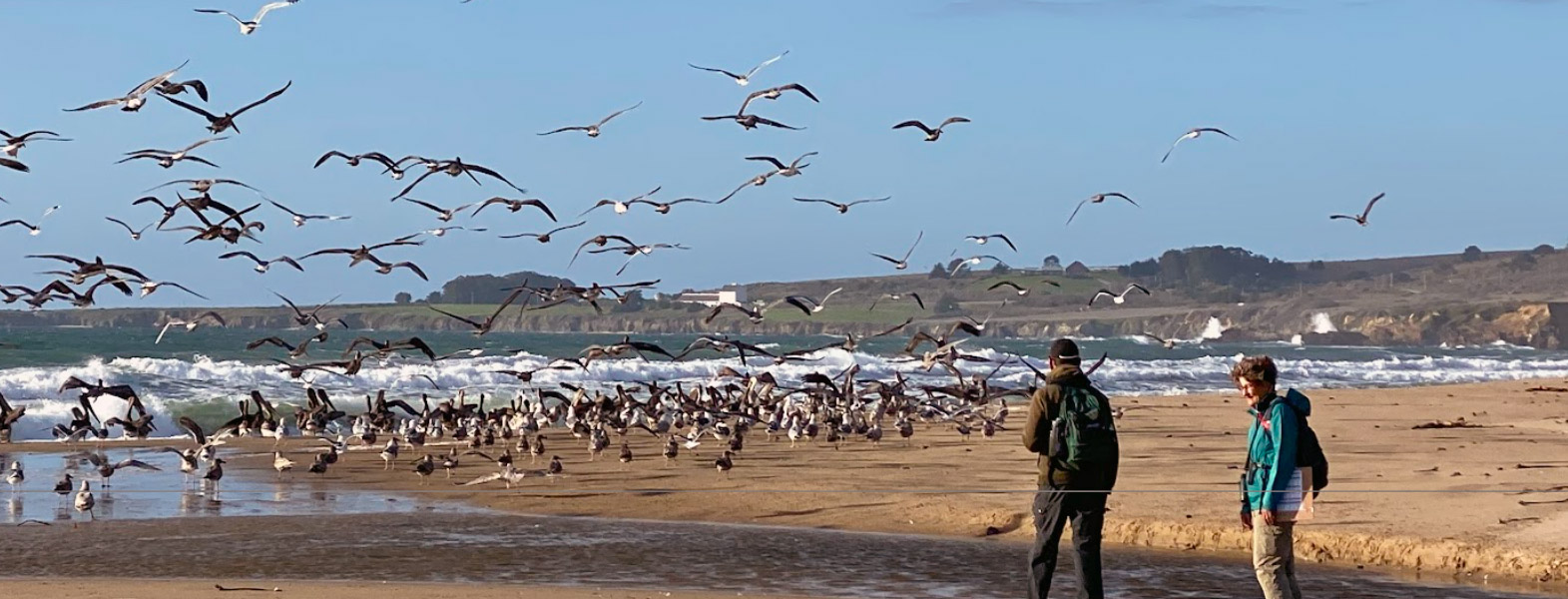 Greater Farallones Association
