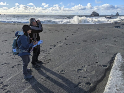 Beach Watch surveyors collecting data on beach